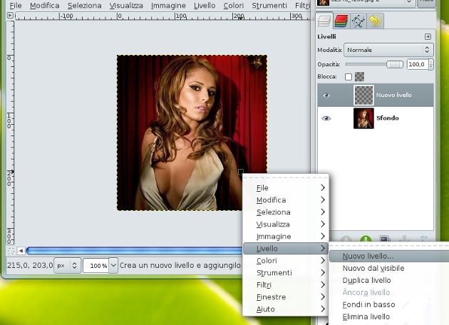 [gimp%2520livelli%255B4%255D.jpg]