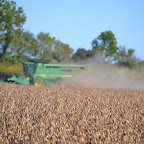 Rohrscheib Farms - 2011 Harvest