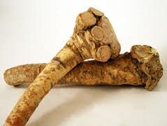 Horseradish root