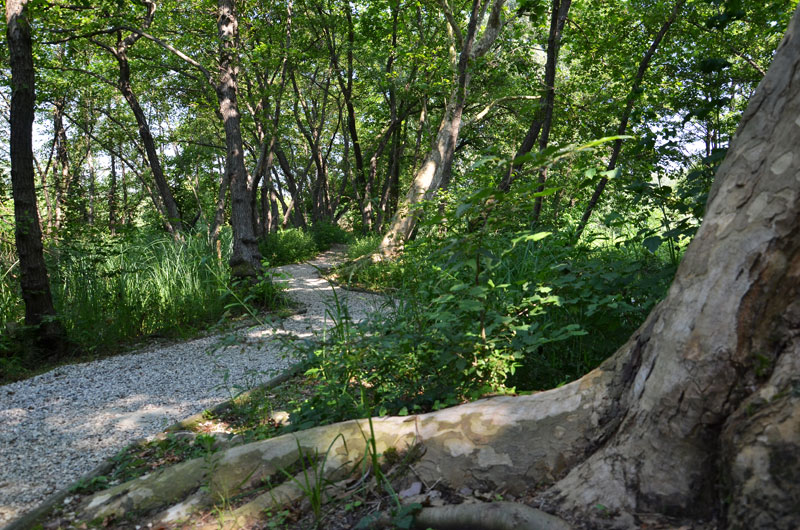 Oasi_Cervara_15a.jpg Oasi Cervara 15a