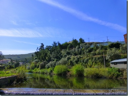 P1020654 P1020654