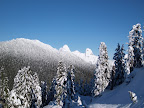 Saint Marks Summit