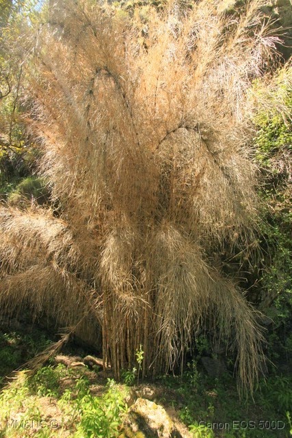 [IMG_3757%255B10%255D.jpg]