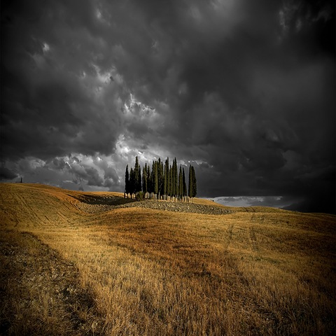[Contrasts%2520and%2520colors%2520of%2520a%2520summer%2520afternoon%2520in%2520Tuscany%2520..%255B4%255D.jpg]
