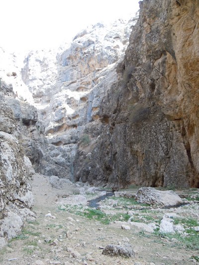 DSCN3872.jpg