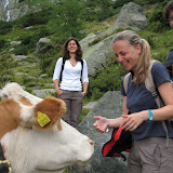 13.08.10 Valle Rotbach - Rotbach Alm