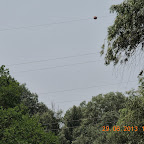 DSCN8366.JPG
