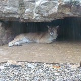 Penn's Cave in Pennsylvania