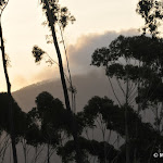 Mt Imlay shrouded in cloud - view from Goanna Road DSC_0309.JPG