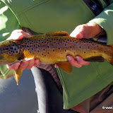 2011-08 Shields on the Big Hole and the Blackfoot Rivers in August
