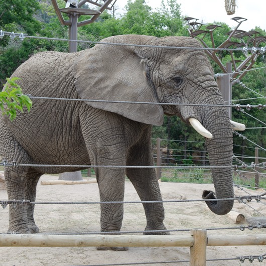 [zoo-35%255B15%255D.jpg]
