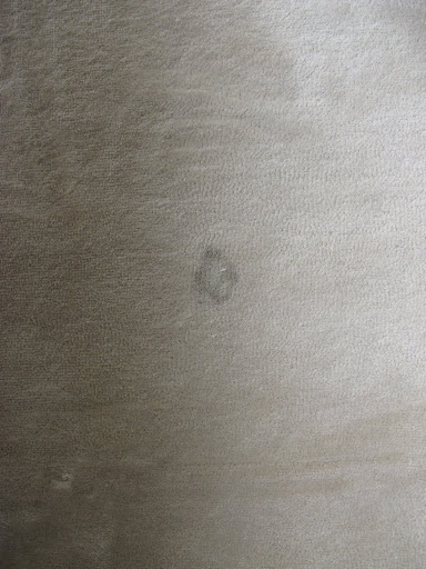 Now onto my carpets. I pray they can get out this stain.