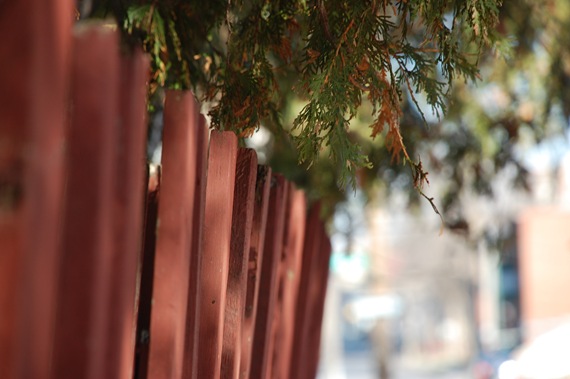 [DSC_05042.jpg]