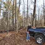 Picking up a load of C tree mulch