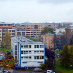 PA258264.JPG