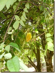 IMG_0205 IMG_0205