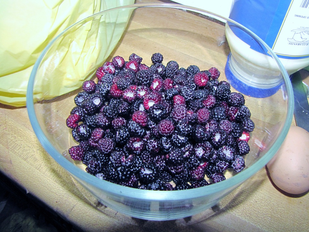 [IMG_5223%255B4%255D.jpg]