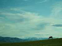 2009-08 Mongolia Horseback