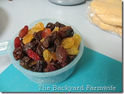 Apple Raisin Pie - The Backyard Farmwife