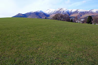 The best frisbee hill I've ever seen