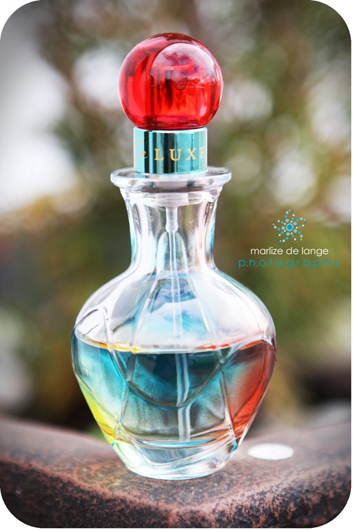 [IMG_9697%2520a%255B5%255D.jpg]