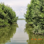 DSCN7305.JPG