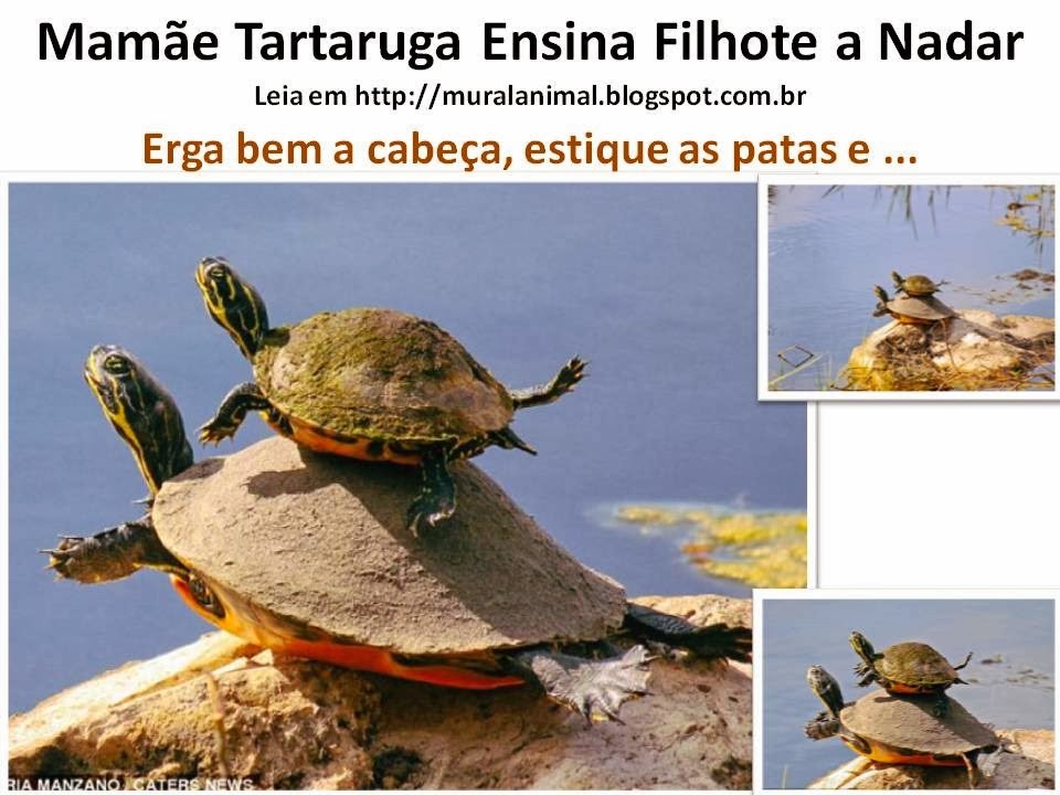 [Slide1%255B3%255D.jpg]