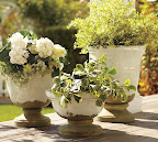 Inspiration: Garden Pots and Planters