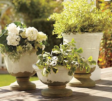 Whitewashed urns are perfect for a bright summer garden. (potterybarn.com)