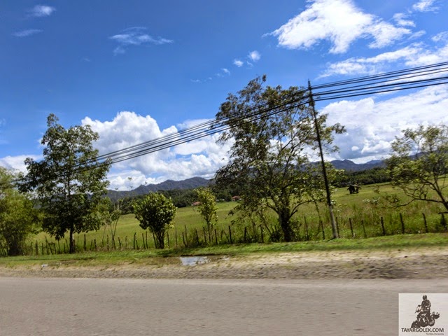 [CIMG21062.jpg]