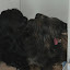 DSC_8789.JPG