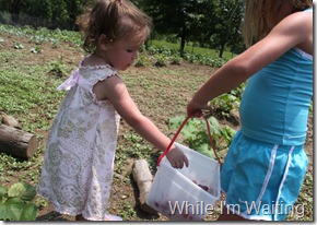 2011 Jun 08_0016 2011 Jun 08_0016