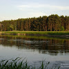dsc03635.jpg