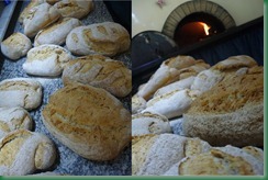 pane accademia del tartufo 3 pane accademia del tartufo 3