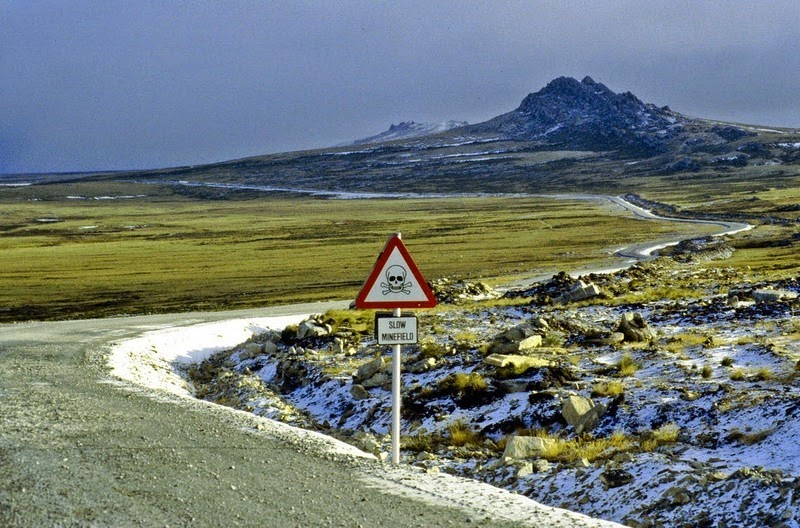 falkland-penguins-minefield-8