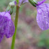 20130323_4
