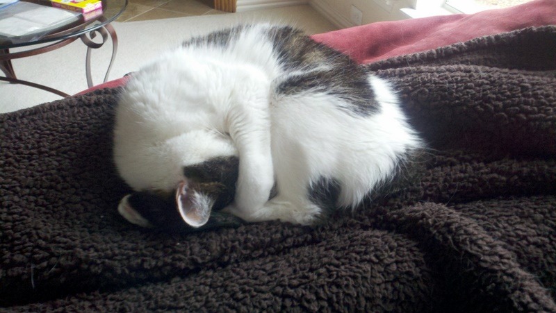[2012-02-13_11-44-13_881%255B4%255D.jpg]
