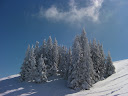 SANY0016.JPG