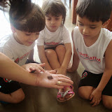 DSC07446.JPG
