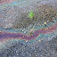 Minerals in the Ground Make for Changing Colors - Waimangu, New Zealand