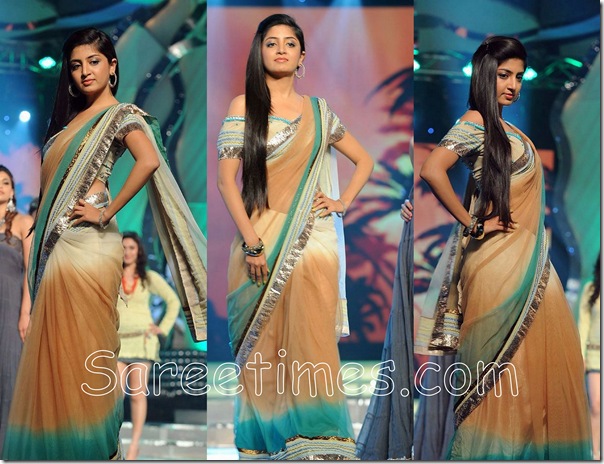 Poonam_Kaur_Georgette_Saree