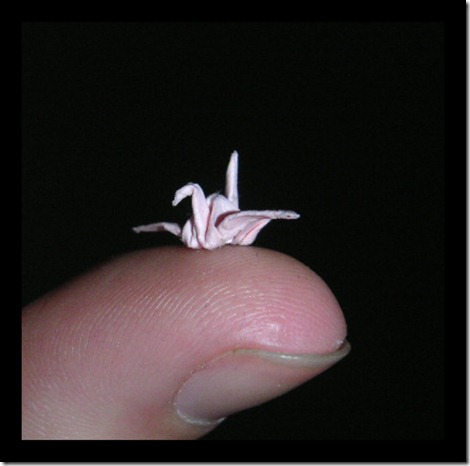 tiny crane