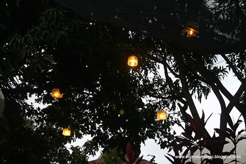 IMG_3418 IMG_3418