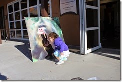IMG_6467 IMG_6467