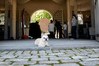 The theme of this photo shoot seems to be all about black - a white Frenchie, like me, doesn't really fit in.