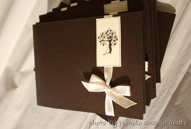 IMG_3335 IMG_3335