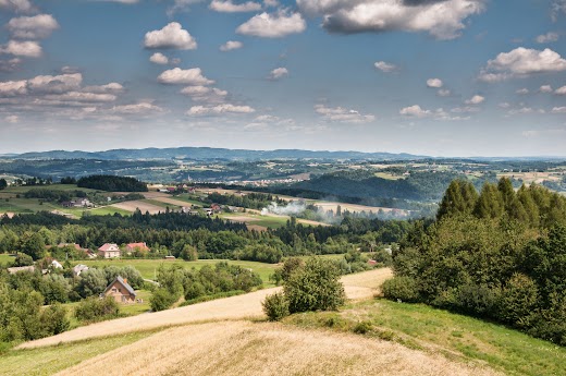 krajobraz z wieży widokowej w Bruśniku DSC_2232.jpg