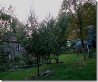 IMG_7603 IMG_7603