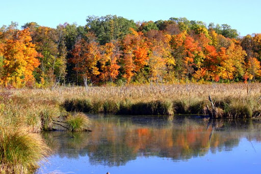 Rootin Tootin slough