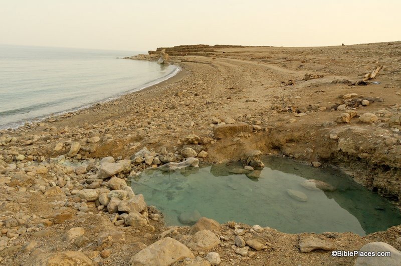 [Dead-Sea-hot-spring-on-shore-tb02280.jpg]